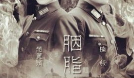 电视剧胭脂演员表,实力派明星齐聚演绎传奇人生